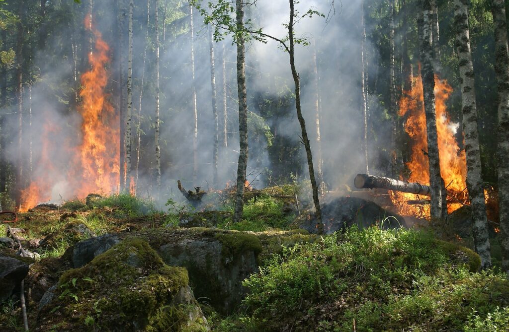 Catasto incendi